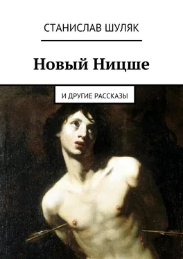 Станислав Шуляк Новый Ницше. и другие рассказы обложка книги