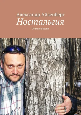 Александр Айзенберг Ностальгия. Стихи о России обложка книги