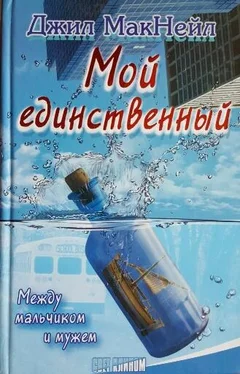 Джил МакНейл Мой единственный обложка книги