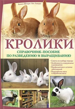 Алиса Штерн-Лес Ландес Кролики. Справочник-пособие по разведению и выращиванию обложка книги