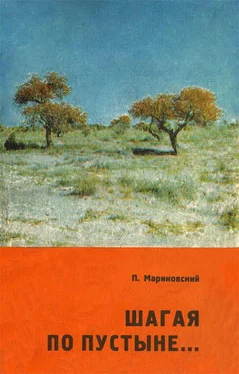 Павел Мариковский Шагая по пустыне… обложка книги