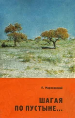 Павел Мариковский - Шагая по пустыне…