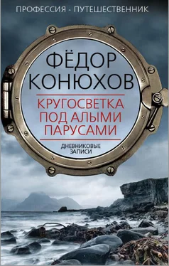 Федор Конюхов Кругосветка под алыми парусами. Дневниковые записи обложка книги