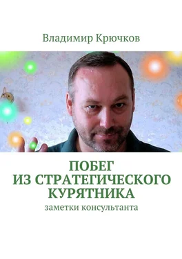 Владимир Крючков Побег из стратегического курятника обложка книги