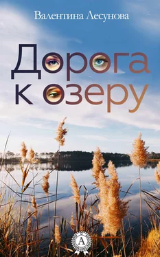 Валентина Лесунова Дорога к озеру обложка книги