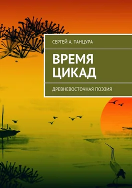 Сергей Танцура Время цикад обложка книги