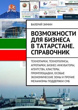 Валерий Зимин Возможности для бизнеса в Татарстане. Справочник обложка книги