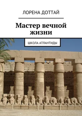 Лорена Доттай Мастер вечной жизни обложка книги