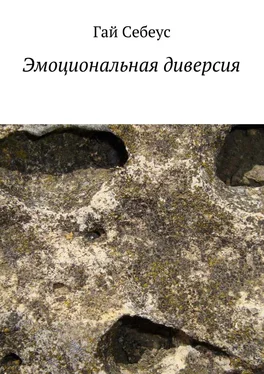 Гай Себеус Эмоциональная диверсия обложка книги