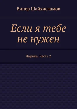 Винер Шайхисламов Если я тебе не нужен обложка книги