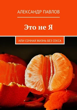 Александр Павлов Это не Я обложка книги