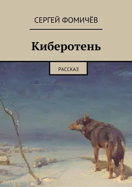 Сергей Фомичёв Киберотень обложка книги