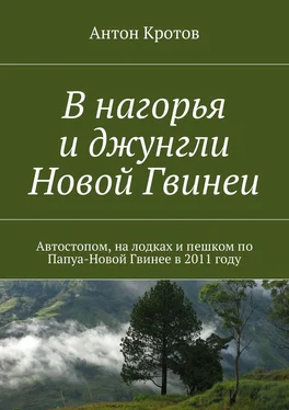 Антон Кротов В нагорья и джунгли Новой Гвинеи обложка книги