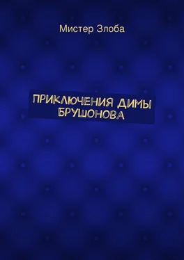 Мистер Злоба Приключения Димы Брушонова обложка книги