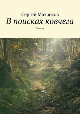 Сергей Матросов В поисках ковчега обложка книги