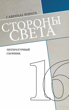 Коллектив авторов Стороны света (литературный сборник №16) обложка книги