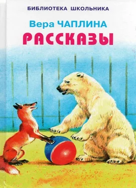 Вера Чаплина Рассказы обложка книги