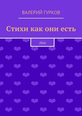 Валерий Гурков Стихи как они есть обложка книги