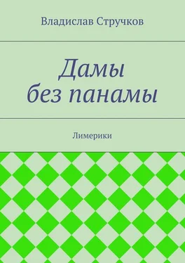 Владислав Стручков Дамы без панамы обложка книги