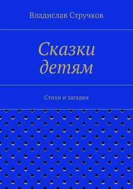 Владислав Стручков Сказки детям обложка книги