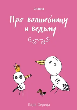 Лада Середа Про волшебницу и ведьму обложка книги