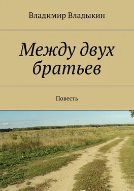 Владимир Владыкин Между двух братьев обложка книги