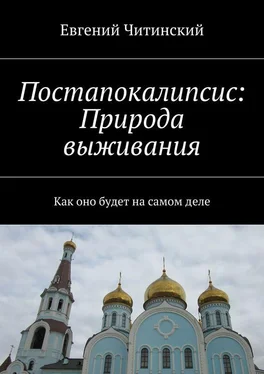 Евгений Читинский Постапокалипсис: Природа выживания обложка книги