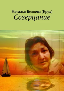 Наталья Беляева (Ерух) Созерцание обложка книги