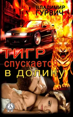 Владимир Гурвич Тигр спускается в долину обложка книги