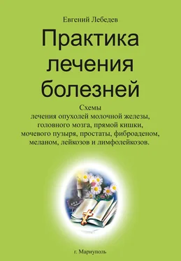 Евгений Лебедев Практика лечения болезней обложка книги