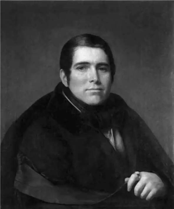 Портрет Петра Александровича Плетнева Художник Алексей Тыранов 1836 г - фото 6