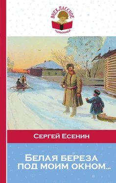 Сергей Есенин Белая береза под моим окном… обложка книги