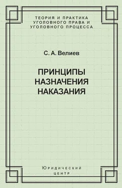 Самир Велиев Принципы назначения наказания обложка книги