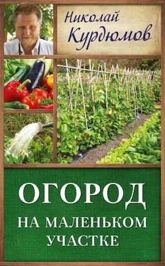 Николай Курдюмов Огород на маленьком участке обложка книги