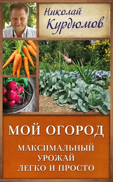 Николай Курдюмов Мой огород. Максимальный урожай легко и просто обложка книги