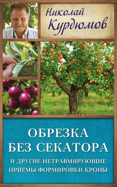 Николай Курдюмов Обрезка без секатора и другие нетравмирующие приемы формировки кроны обложка книги