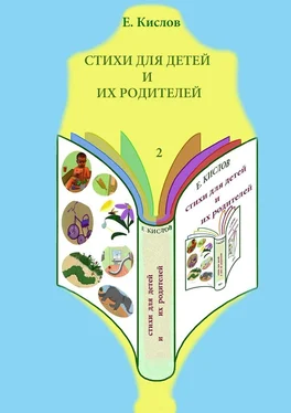 Евгений Кислов Стихи для детей и их родителей-2 обложка книги