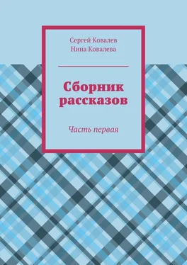 Сергей Ковалев Сборник рассказов. Часть первая обложка книги