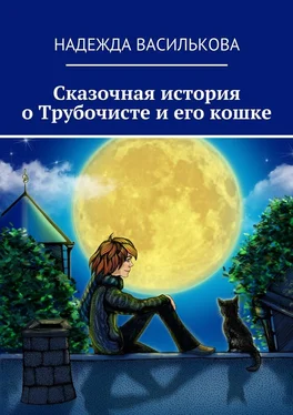 Надежда Василькова Сказочная история о Трубочисте и его кошке обложка книги