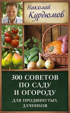 Николай Курдюмов 300 советов по саду и огороду для продвинутых дачников обложка книги