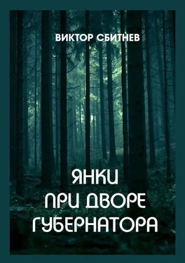 Виктор Сбитнев Янки при дворе губернатора обложка книги