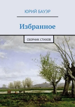 Юрий Бауэр Избранное. Сборник стихов обложка книги