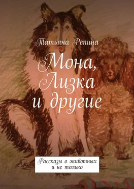 Татьяна Репина Мона, Лизка и другие обложка книги