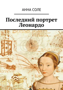 Анна Соле Последний портрет Леонардо обложка книги