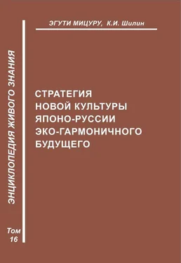 Ким Шилин Стратегия новой культуры Японо-Руссии эко-гармоничного будущего обложка книги