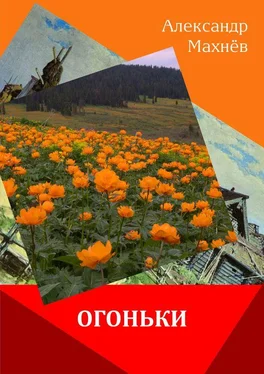 Александр Махнёв Огоньки (сборник) обложка книги