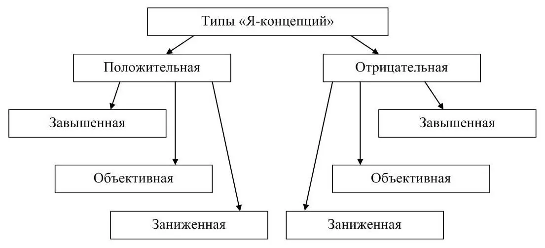 Рисунок 2 Типы и разновидности Яконцепций Завышенное представление о своих - фото 3