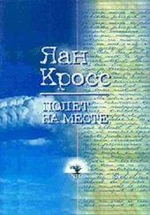 Яан Кросс - Полет на месте