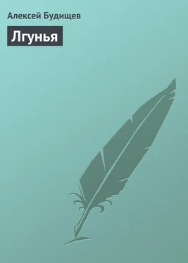 Алексей Будищев Лгунья обложка книги