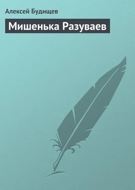 Алексей Будищев Мишенька Разуваев обложка книги